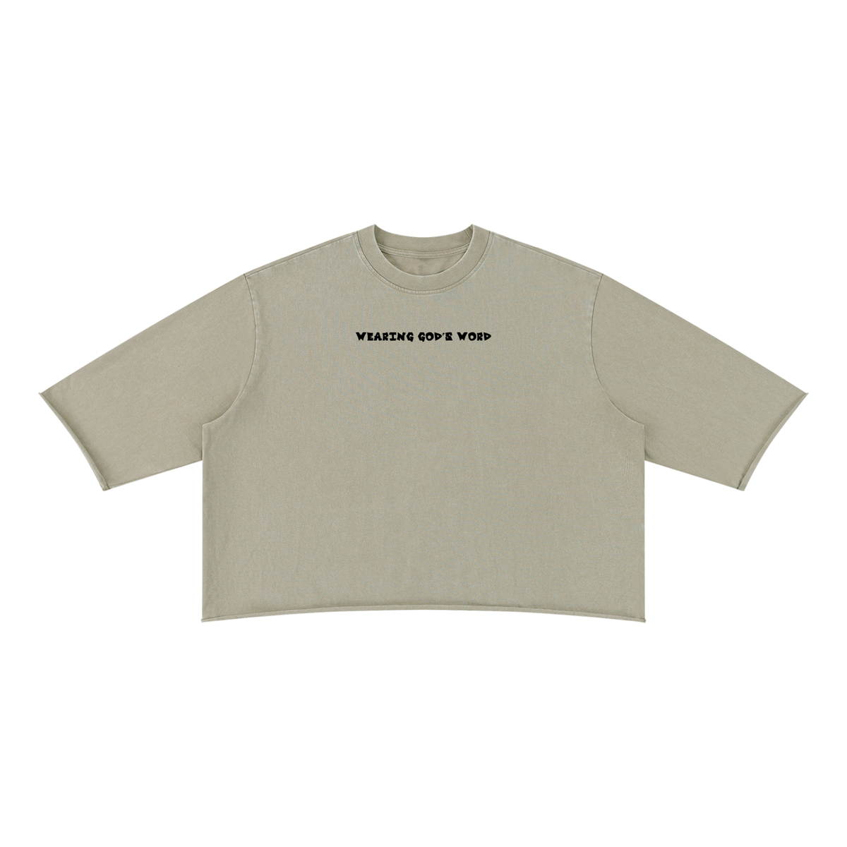 Wearing God’s Word 3/4 T-Shirt